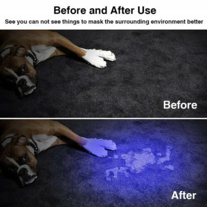 Portable UV Flashlight 365-395nm Black Light Flashlights Ultraviolet Zoomable Torch Pet Urine Stains Fluorescent Agent Detector