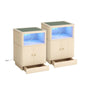 Night Stand With Charger Station, Modern Nightstand Set Of 2 With Hidden Drawer, Saddle Leather Top, Smart LED, And, Customized
