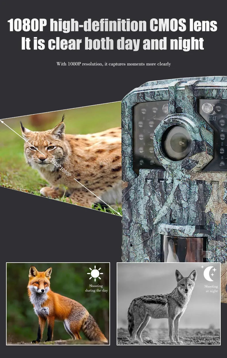 Hunting Trail Camera 16MP 1080P Wild Animal Detector Trail Camera HD Waterproof Monitoring Infrared Heat Sensing Night Vision