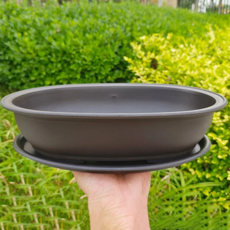 Rectangular Square Flowerpots Imitation Purple Clay Succulent Plants Pots Oval Pots Outdoor Garden Landscape Bonsai Pot Trays