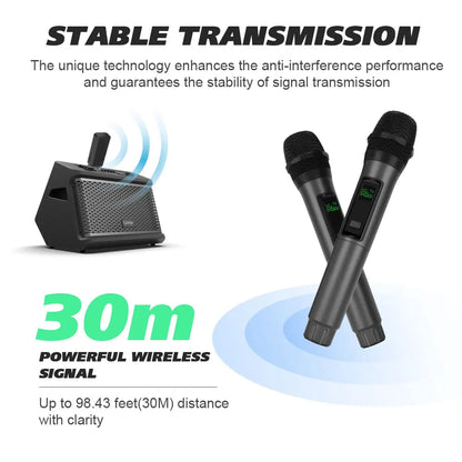 LMBGM W6 Professional Wireless Microphone with Rechargeable Battery, Ideal for KTV and Home Karaoke