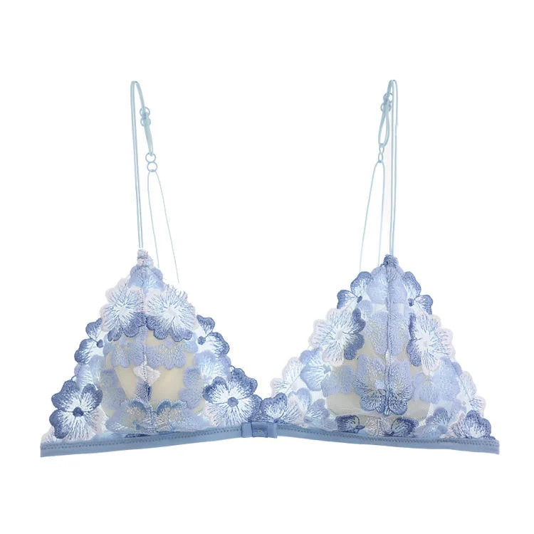French Lace Bralette Small Bust Women Wireless Ultra Thin Sexy Embroidery Mesh No Underwire Push Up Comfort Bra Set BANERDANNI