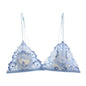 French Lace Bralette Small Bust Women Wireless Ultra Thin Sexy Embroidery Mesh No Underwire Push Up Comfort Bra Set BANERDANNI