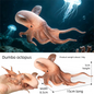 Realistic Marine Animal Figurine Deep Sea Creature Model Ocean Fish Figures Blobfish Collection Kids Toy Boy Girl Gift Ornament