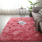 Premium Fluffy Area Rug Cute Shag Carpet Extra Soft and Shaggy Carpets Indoor Fuzzy Rugs for Living Room Super Soft Fluffy Rug