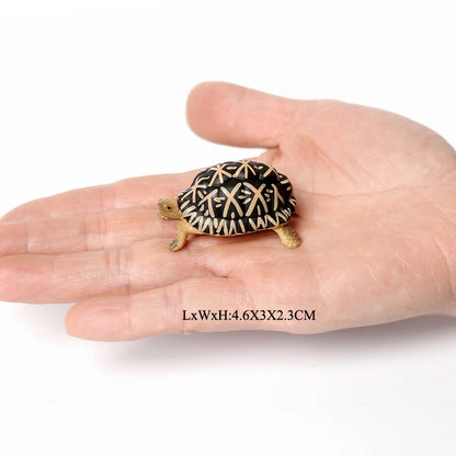 Simulation Chinese Softshell Leatherback Sea Turtle Snapping Turtles Tortoise Ocean Animal Model Education Toy Figures For Kids