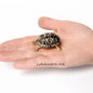 Simulation Chinese Softshell Leatherback Sea Turtle Snapping Turtles Tortoise Ocean Animal Model Education Toy Figures For Kids