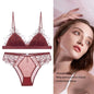 BANERDANNI Pure Desire Victoria French Lace Embroidered Lingerie Women's Thin Cup Triangle Cup Bra Set Comfortable No Underwire