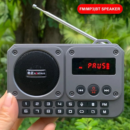Mini Portable FM Radio Multifunctional Radios Bluetooth Speaker Recorder with LED Display Folder Switching TF Card U Disk Play