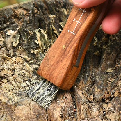 Mini Mushroom Multi Knife Stainless Steel Wooden Handle Sharp Picking Pocket Knife Hard Stainless Steel Multifunctional knife