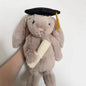 2026 New Spring Series Plush Toy Barcelona Bear Narcissus Aromatherapy Soothing Bonny Real Fur Series Bonny Bunny