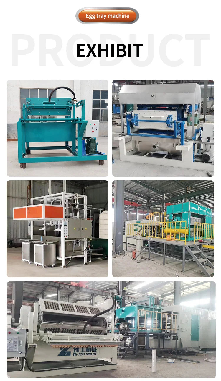 Automatic Egg Tray Making Machine 1000pcs/h Paper Pulp Molding Production Line For Waste Paper Recycling For Small Business