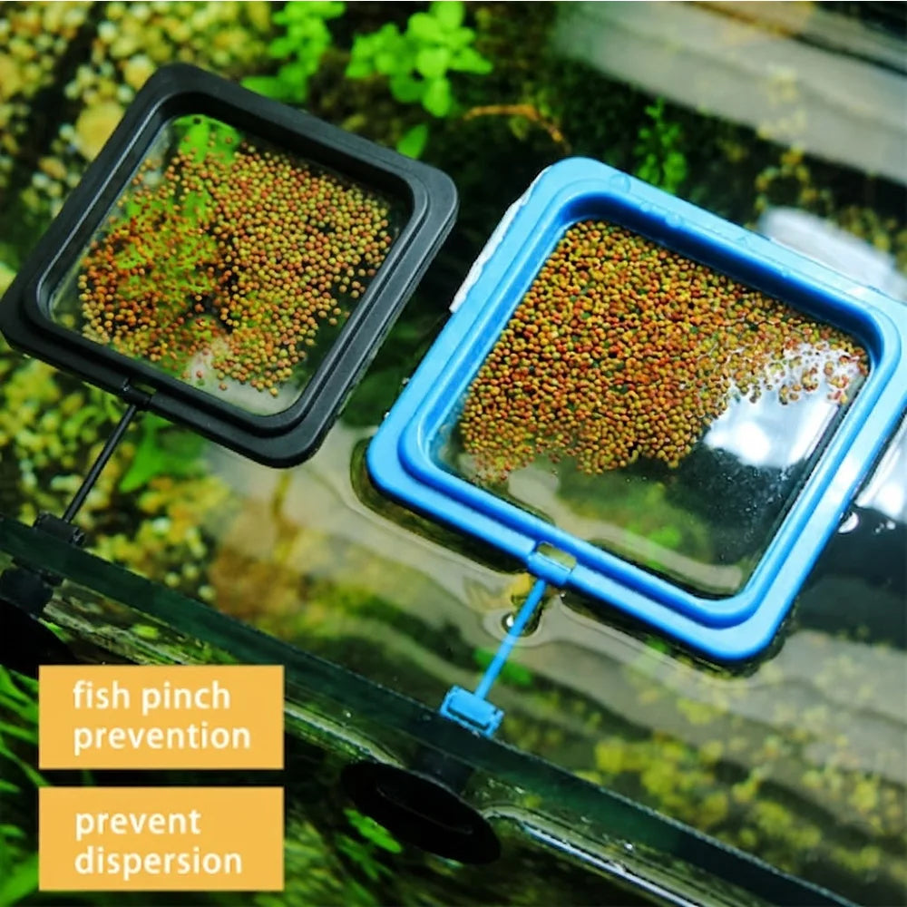 Fish Food Pellets With Square Floating Feeding Ring Set For Betta Goldfish Nutrient Color Enhancer Combo ZORILYNX Plus X2