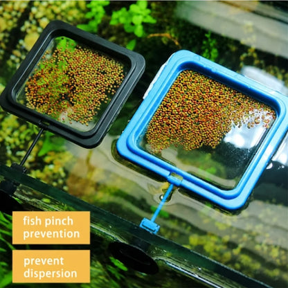 Fish Food Pellets With Square Floating Feeding Ring Set For Betta Goldfish Nutrient Color Enhancer Combo ZORILYNX Plus X2