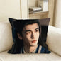 The TV series Pursuit of Jade X-Xie Zheng Z-Zhang Linghe Pillow Case Living Room Sofa Cushion Cover