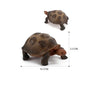 Simulation Chinese Softshell Leatherback Sea Turtle Snapping Turtles Tortoise Ocean Animal Model Education Toy Figures For Kids