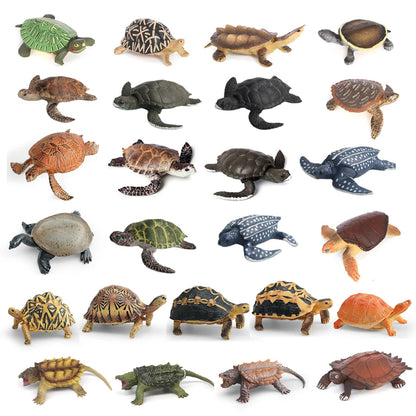 Simulation Chinese Softshell Leatherback Sea Turtle Snapping Turtles Tortoise Ocean Animal Model Education Toy Figures For Kids