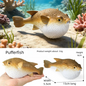 Realistic Marine Animal Figurine Deep Sea Creature Model Ocean Fish Figures Blobfish Collection Kids Toy Boy Girl Gift Ornament