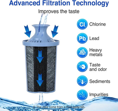 10-Cup Water Filter Pitcher with 2 Longlast Filters, Electronic Filter Change Reminder, Compatible with Brita Pitcher