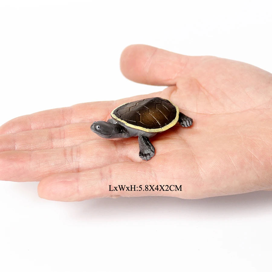 Simulation Chinese Softshell Leatherback Sea Turtle Snapping Turtles Tortoise Ocean Animal Model Education Toy Figures For Kids