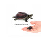 Simulation Chinese Softshell Leatherback Sea Turtle Snapping Turtles Tortoise Ocean Animal Model Education Toy Figures For Kids