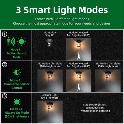 3IN1 Outdoor Solar Camping Wall Lamps Lawn Lamps Floor Lamp LED Induction Lamps Garden Landscape Lamps Decorative Tungsten Lamp