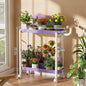 Indoor shelf Simple flower stand Universal wheel Balcony Living room storage rack Various colors Versatile flower stand Shelf