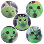 Funny Tinplate Pins Set Cats Dog Memes Dreamy Stars Collection Brooches Sweet Strawberry Musicial Note Badges Jewelry Gift