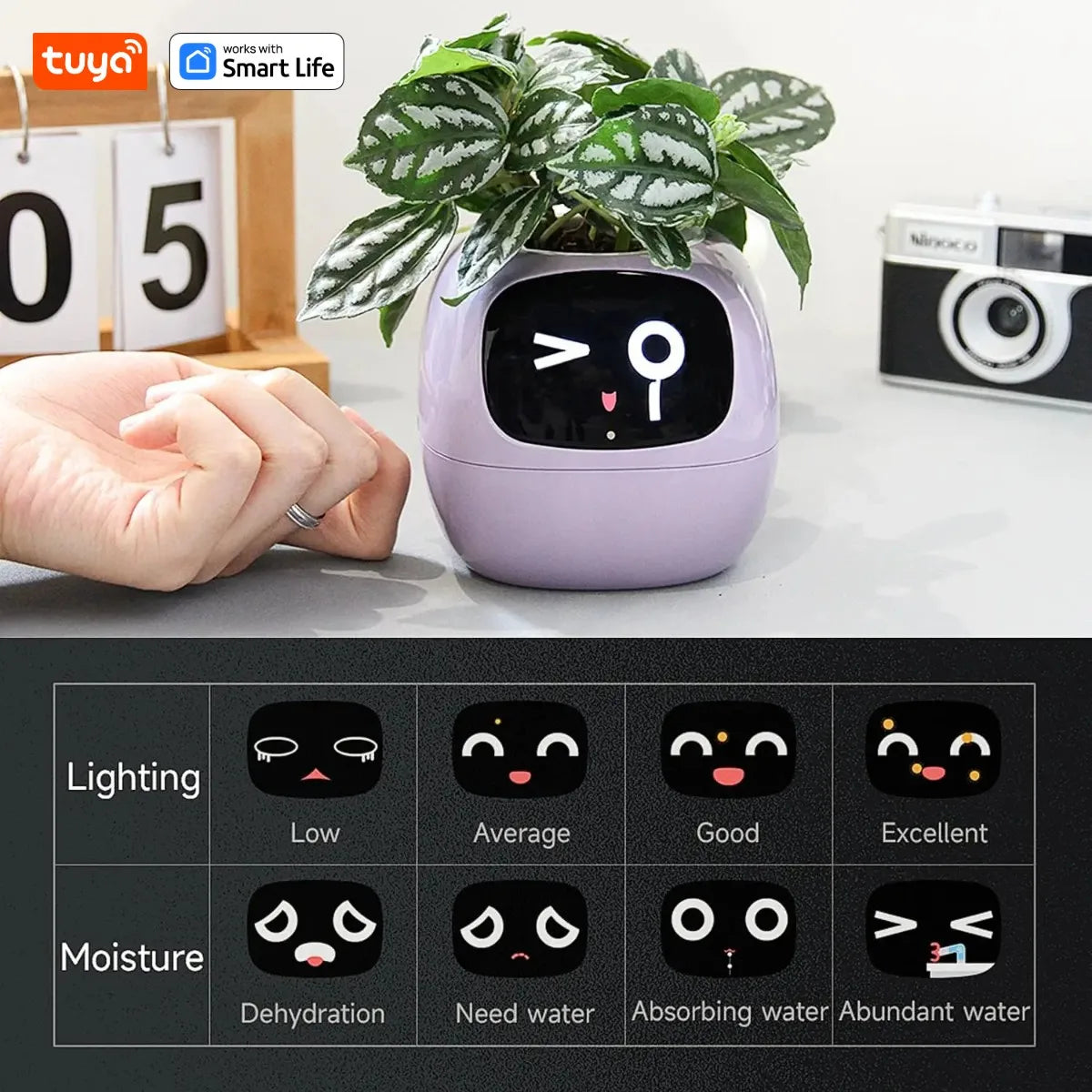 Gen1 Tuya Ivy Smart Planter,Endless Fun Over 49 Rich Expressions,7 smart sensors,AI Chips Make Raising Plants Easy and Fun