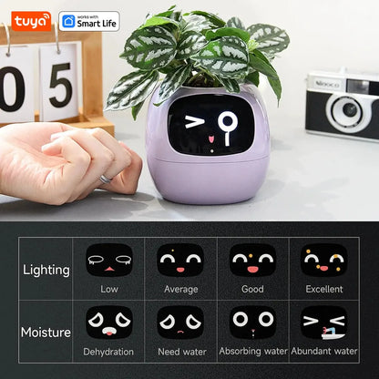 Gen1 Tuya Ivy Smart Planter,Endless Fun Over 49 Rich Expressions,7 smart sensors,AI Chips Make Raising Plants Easy and Fun