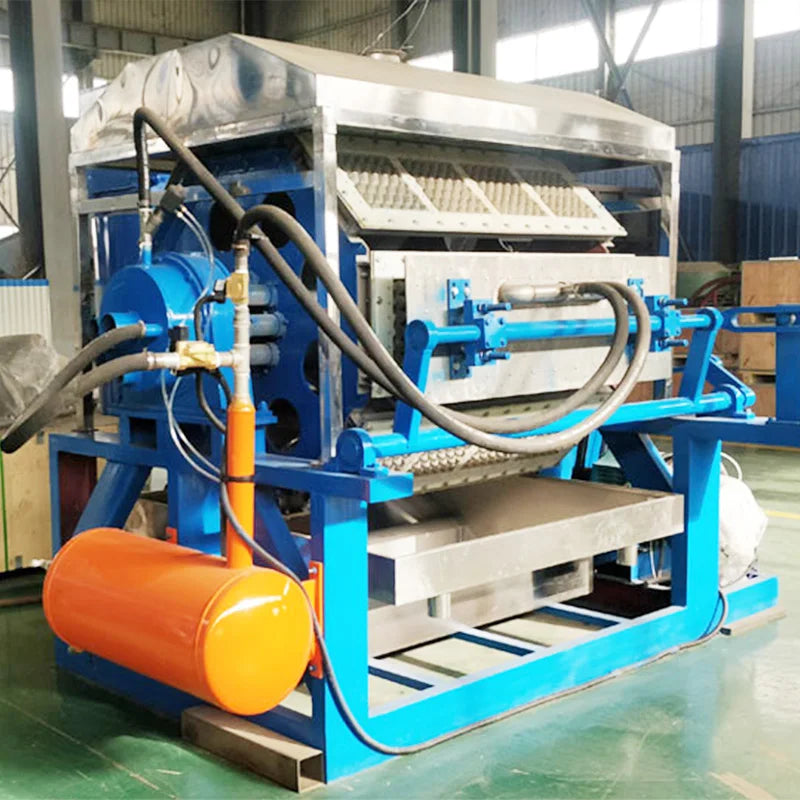 Automatic Egg Tray Making Machine 1000pcs/h Paper Pulp Molding Production Line For Waste Paper Recycling For Small Business