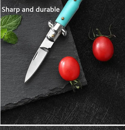 MiniPortable Folding Pocket Knife Multifunction EDC Keychain Pendant Camping Outdoor Survival Blade Cutter Opener Unpacking Tool