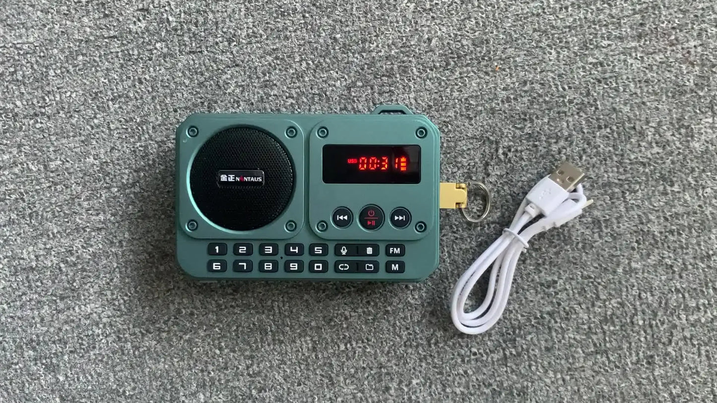 Mini Portable FM Radio Multifunctional Radios Bluetooth Speaker Recorder with LED Display Folder Switching TF Card U Disk Play