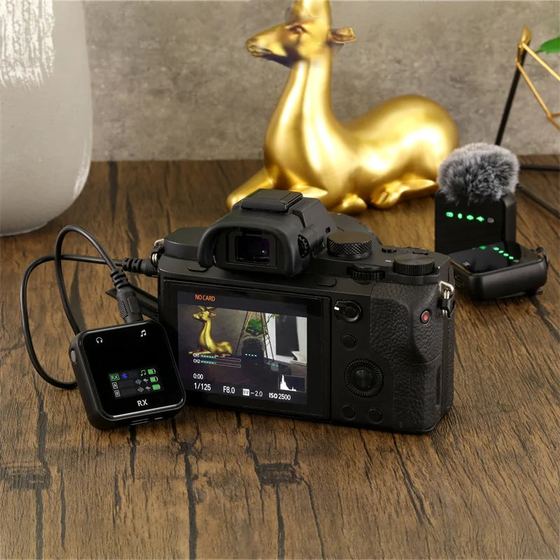 Wireless Lavalier Microphone System Bluetooth Audio Video Voice Recording Mic for iPhone Android Mobile Phone Interview Camera