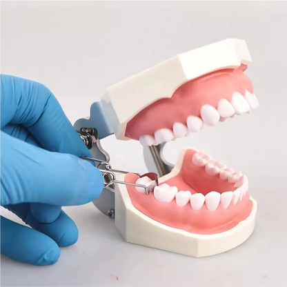 Dental Sectional Contoured Metal Matrices Matrix with Springclip No.1.330 Band Resin Clamping/Seperating Ring Dentist Tools