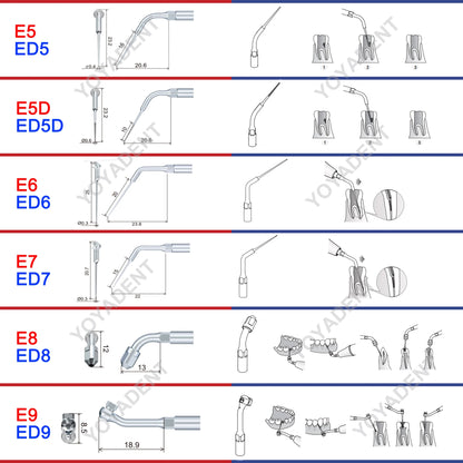Woodpecker DTE Dental Endo Tips Ultrasonic Scaler Tips Scaling Tips ED-Series Fit NSK SATELEC Scaler Handpiece Dentistry Product