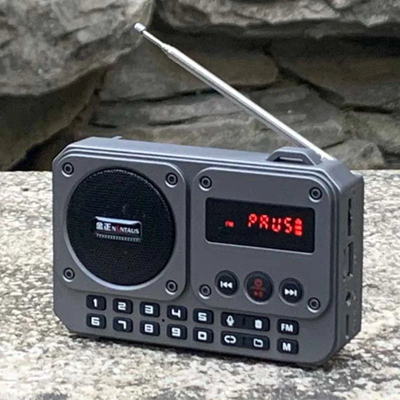Mini Portable FM Radio Multifunctional Radios Bluetooth Speaker Recorder with LED Display Folder Switching TF Card U Disk Play