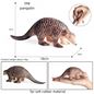 Oenux Simulated Insect Mouse Lizard Sea Animal Models Realistic Dolls Soft Rubber TPR Material Collectibles Halloween Prank Toys