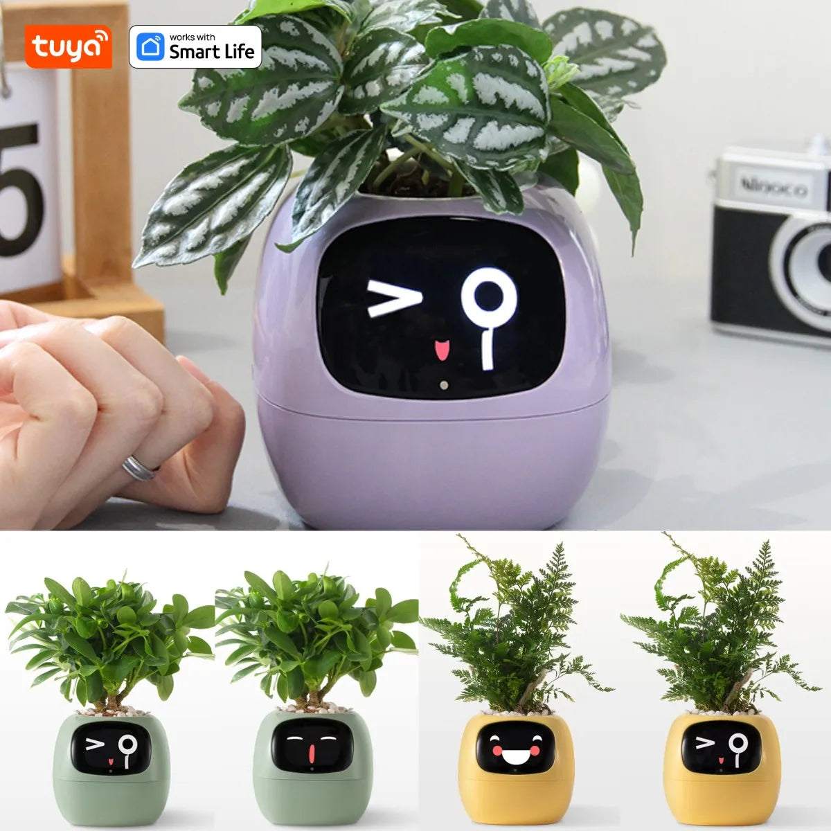 Gen1 Tuya Ivy Smart Planter,Endless Fun Over 49 Rich Expressions,7 smart sensors,AI Chips Make Raising Plants Easy and Fun