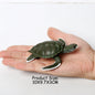 Simulation Chinese Softshell Leatherback Sea Turtle Snapping Turtles Tortoise Ocean Animal Model Education Toy Figures For Kids