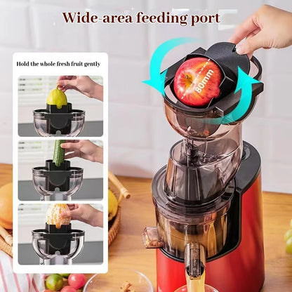 220V Juice Extractor Home Slag Separation Ginger Fruit Vegetable Juice Extractor Multifunctional Fruit Slow Juicer Automatic