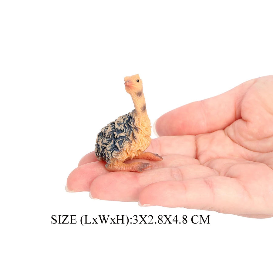 Realistic Emu Ostrich Growth Cycle Action Figure Toys Bird Figurines Animal Playset Educational Model Toys Collection Home Decor