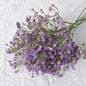 Artificial Plastics Gypsophila Flower Outdoor Garden Party Courtyard Home Vases Table Wedding Bridal Bouquet DIY Gifts Accessory