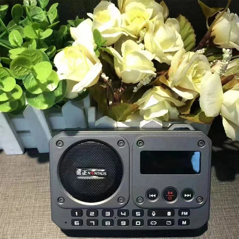 Mini Portable FM Radio Multifunctional Radios Bluetooth Speaker Recorder with LED Display Folder Switching TF Card U Disk Play