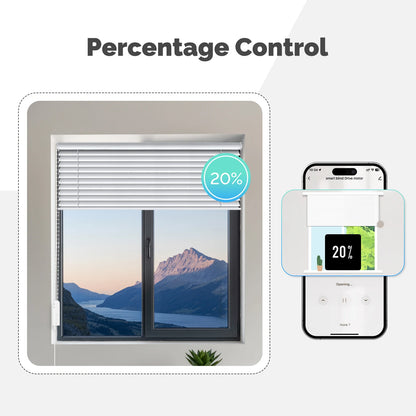 MOES Tuya WiFi Smart Shade Roller Blinds Motor Driver Electric Curtains Automation Pull Cord Chain String With Alexa Google Home