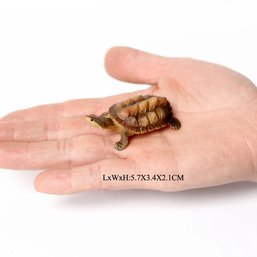 Simulation Chinese Softshell Leatherback Sea Turtle Snapping Turtles Tortoise Ocean Animal Model Education Toy Figures For Kids