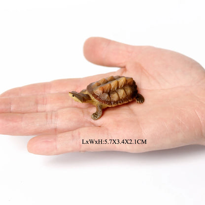 Simulation Chinese Softshell Leatherback Sea Turtle Snapping Turtles Tortoise Ocean Animal Model Education Toy Figures For Kids