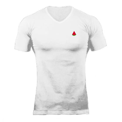 Sumemr Moisture Wicking Short Sleeve Cotton T-Shirt Men's V-Neck Slim Fit Shirt Fitness Bodybuilding Workout Tees Gym Clothing