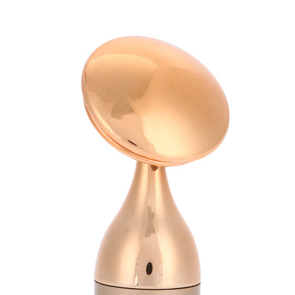 Beauty Massager Face Massager Vibrating Facial Massager Vibration Slim  Tighten Face Beauty Device Skin Spa Cleaner Massager