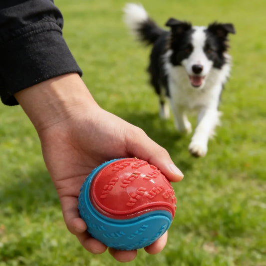 Dog Play Toy Rubber Glow Ball Indestructible Pet Supplie Train Tooth Chew Large Safe Small Dog Squeak Touch Water Toys Resistant